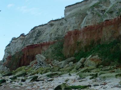 DSCF0776-.jpg
