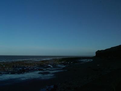 DSCF0795-.jpg