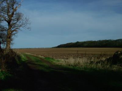 DSCF0814-.jpg