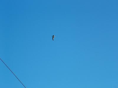 DSCF0821-.jpg