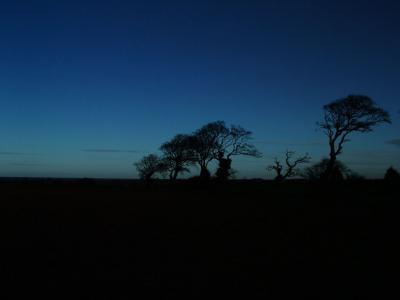 DSCF0887-.jpg