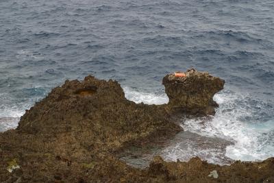 CRW_5604C.jpg