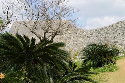 CRW_5640C.jpg