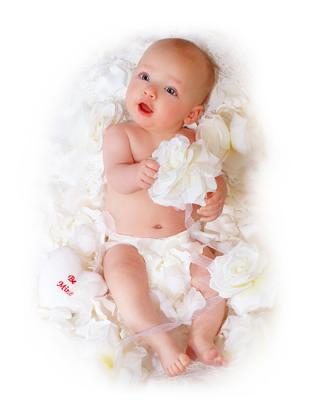 u16/angie_shaffer/medium/39059895.Img5843rtflatusm.jpg
