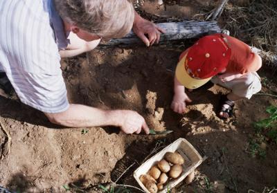Digging around
