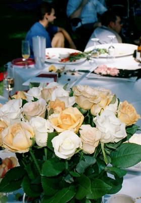 Roses and remnants