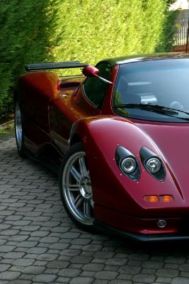 u16/anmb1/medium/39002595.Pagani033.jpg