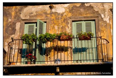 u16/antonis_sarantos/medium/39046195.AntonisSarantos343.jpg
