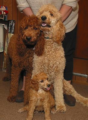 Toby & his parents 12/31/02
