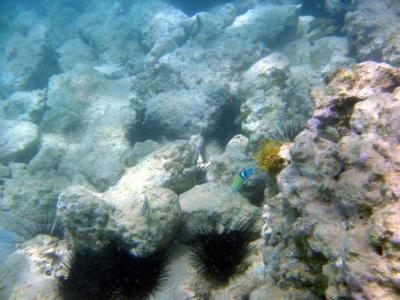 IMG_0689.JPG
