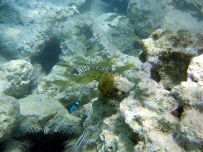 IMG_0691.JPG