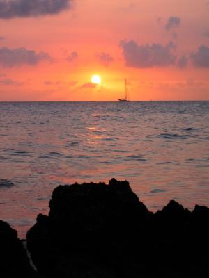 IMG_0798.JPG