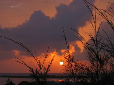 IMG_0922.JPG