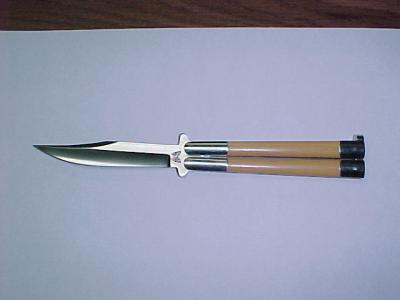 u16/balisong/medium/39092661.MVC002F.jpg