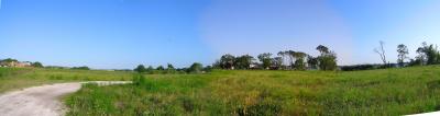 Panorama of property as ground cover grows