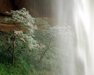 Cataratas del Surutu