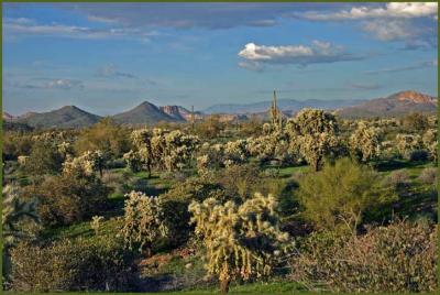 Lost Dutchman State Park #2