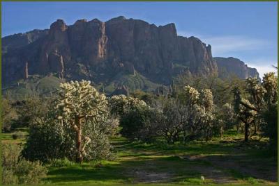 Superstition Mountains