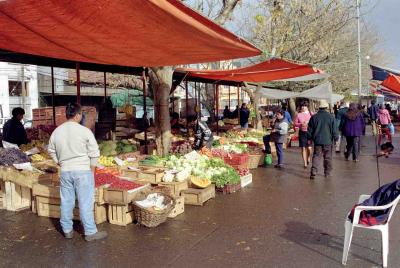 Valdivia local market