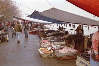 Valdivia local market