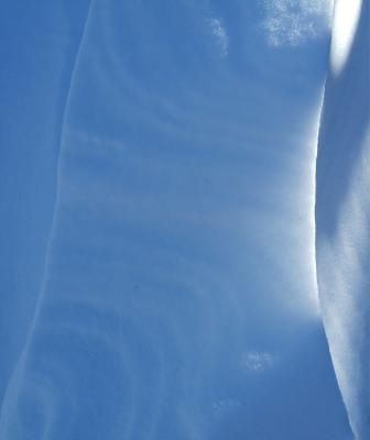 Blizzard of '05, snow dune closeup