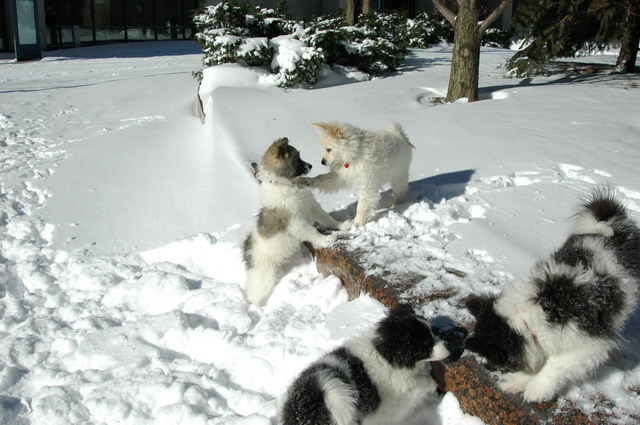 Jan23_05_100.JPG