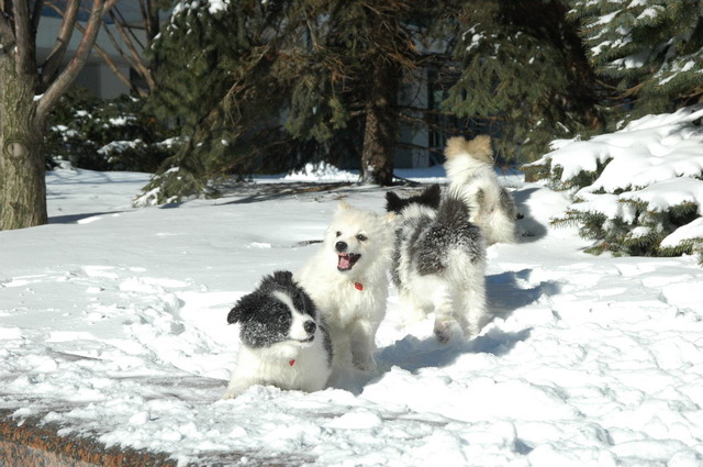 Jan23_05_127.JPG