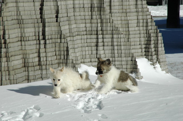 Jan23_05_247.JPG
