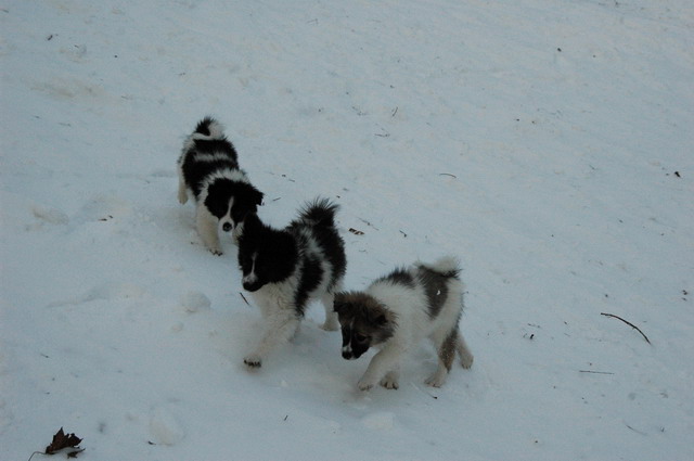 Jan24_05_263.JPG