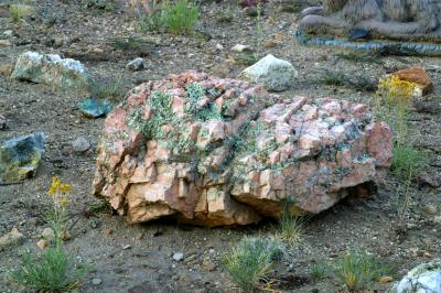 Mossy Feldspar