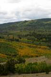 Colorado Fall Color