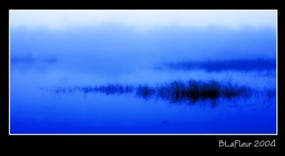 Blue Light on Marsh
