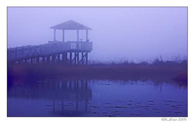 Viewing Deck in Fog