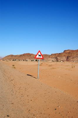 Camel warning sign