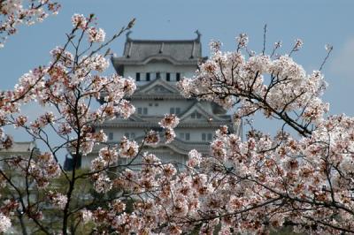 u16/bmcmorrow/medium/42162671.himejiapr05090.jpg