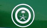 Saudi Air Force marking - palm tree and crossed swords