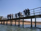 The jetty at the Aqaba Marine Park