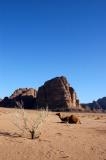 Wadi Rum