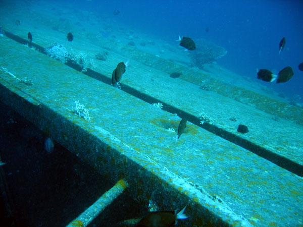 Wreck of the Cedar Pride