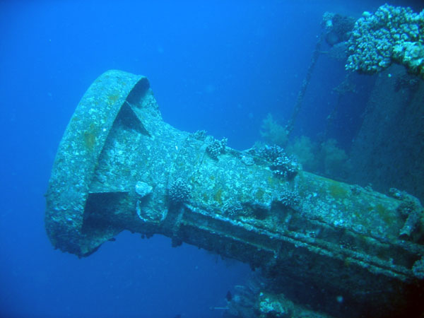 Wreck of the Cedar Pride