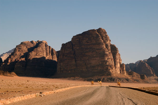 Desert from Wadi Rum Tourist Road