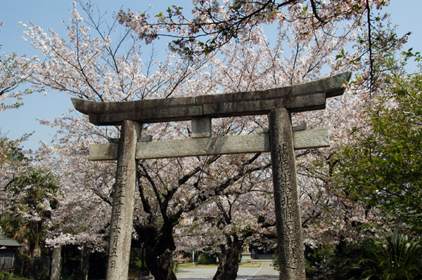 Himeji Shrine, on the NE corner of the castle park