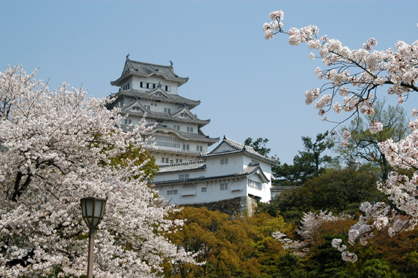 The white color of Himeji Castle is due to a covering of white fireproof plaster