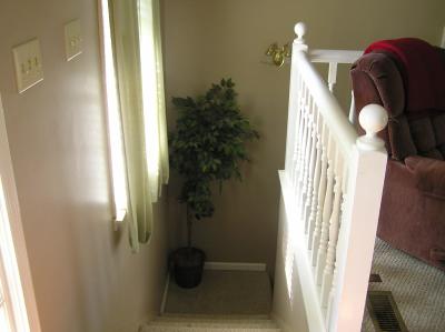 stairs to lower level
