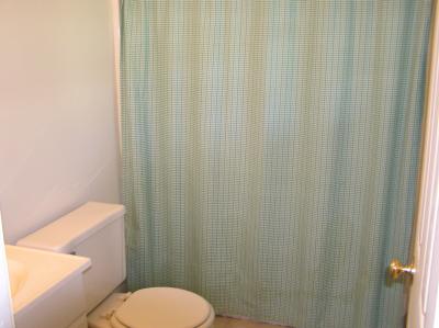 lower level bathroom