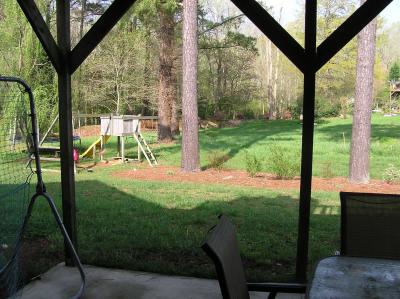 backyard view from patio