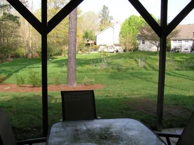 backyard view from patio