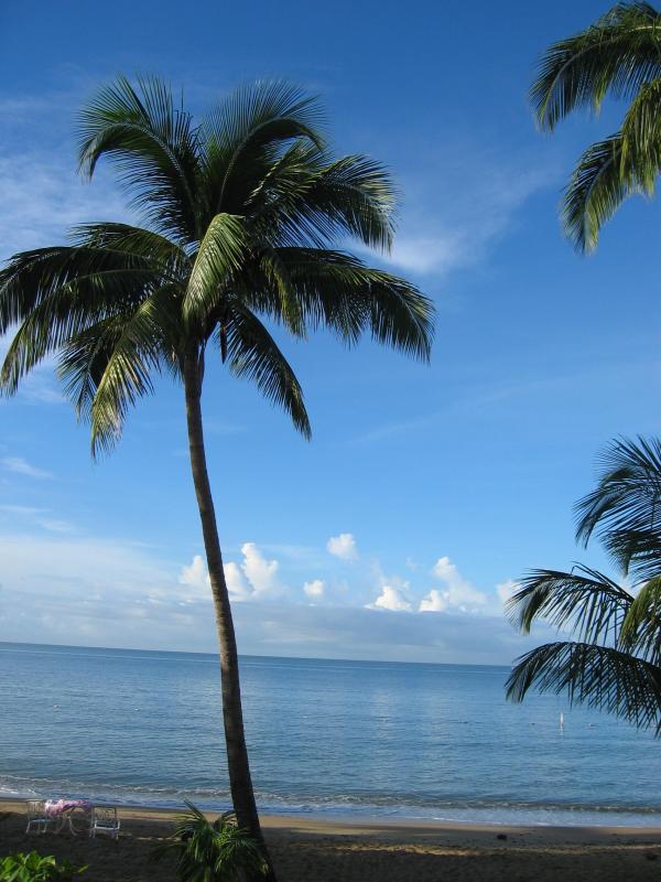 puerto rico 074.jpg