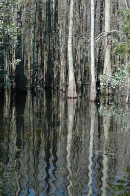 Img0390.JPG