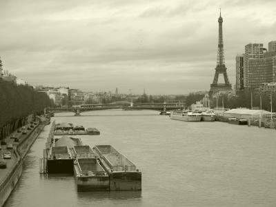 Seine and Eiffel Tower